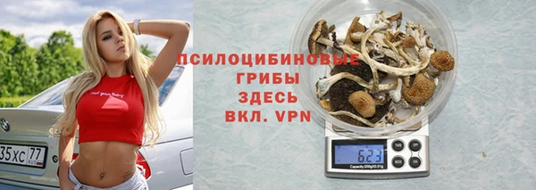 гидра Кулебаки