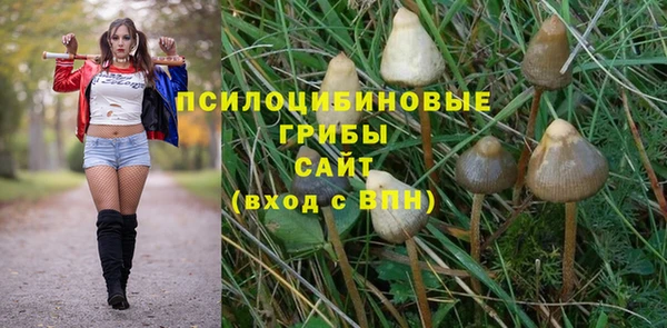 стаф Кукмор