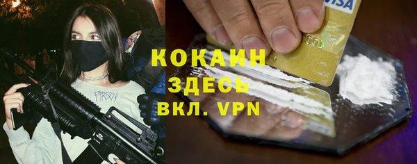 гидра Кулебаки