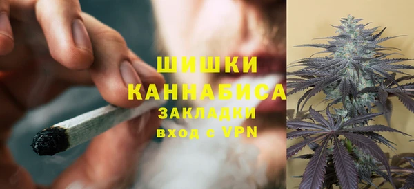 гидра Кулебаки