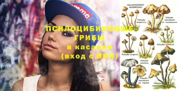 стаф Кукмор
