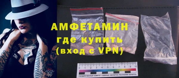 гидра Кулебаки
