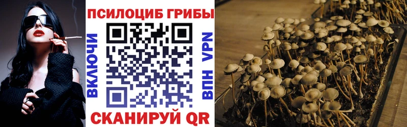 Псилоцибиновые грибы прущие грибы  Ильский 